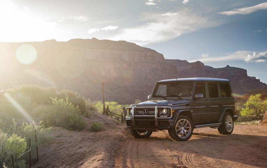  Mercedes-AMG G65 (W463) 2016 года  (NA) (фото 19 из 40)